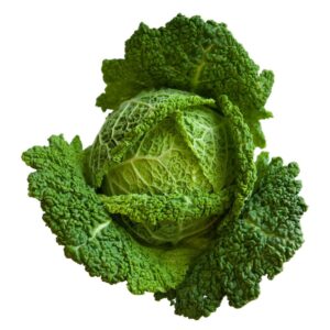Couve Lombarda Bio