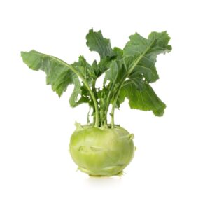 Couve Rábano Bio