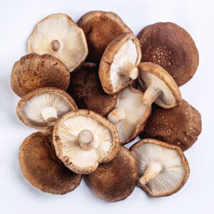 Cogumelos Shiitake Bio